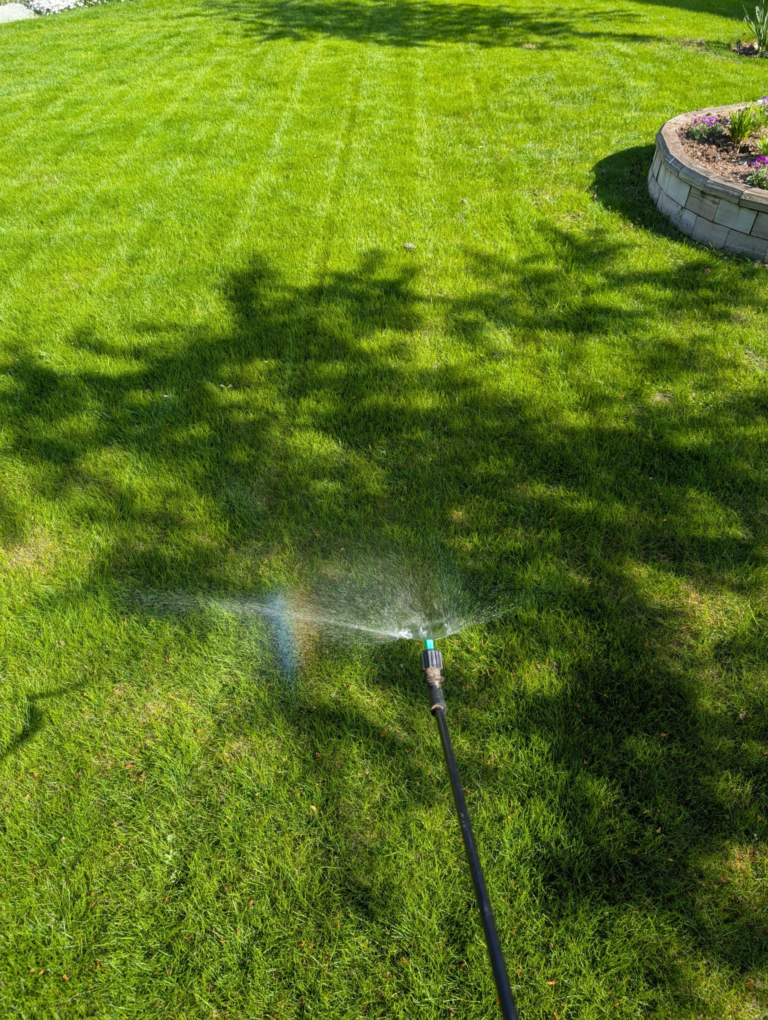 Lawn Care and Renovation